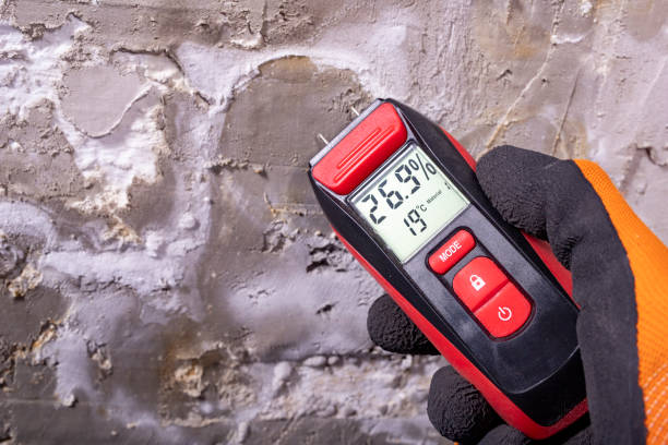 Best Mold Removal Process  in Beggs, OK
