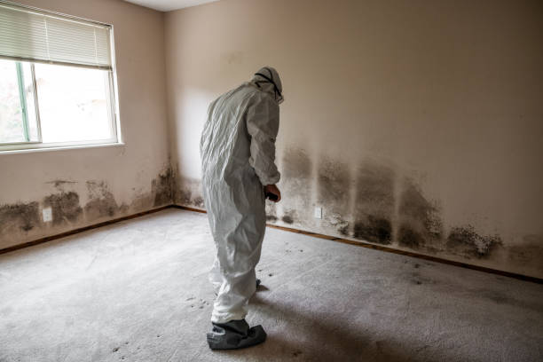 Best Mold Testing  in Beggs, OK