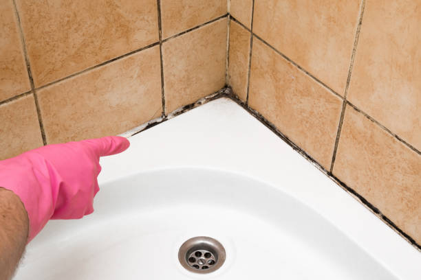Best Local Mold Removal Service  in Beggs, OK